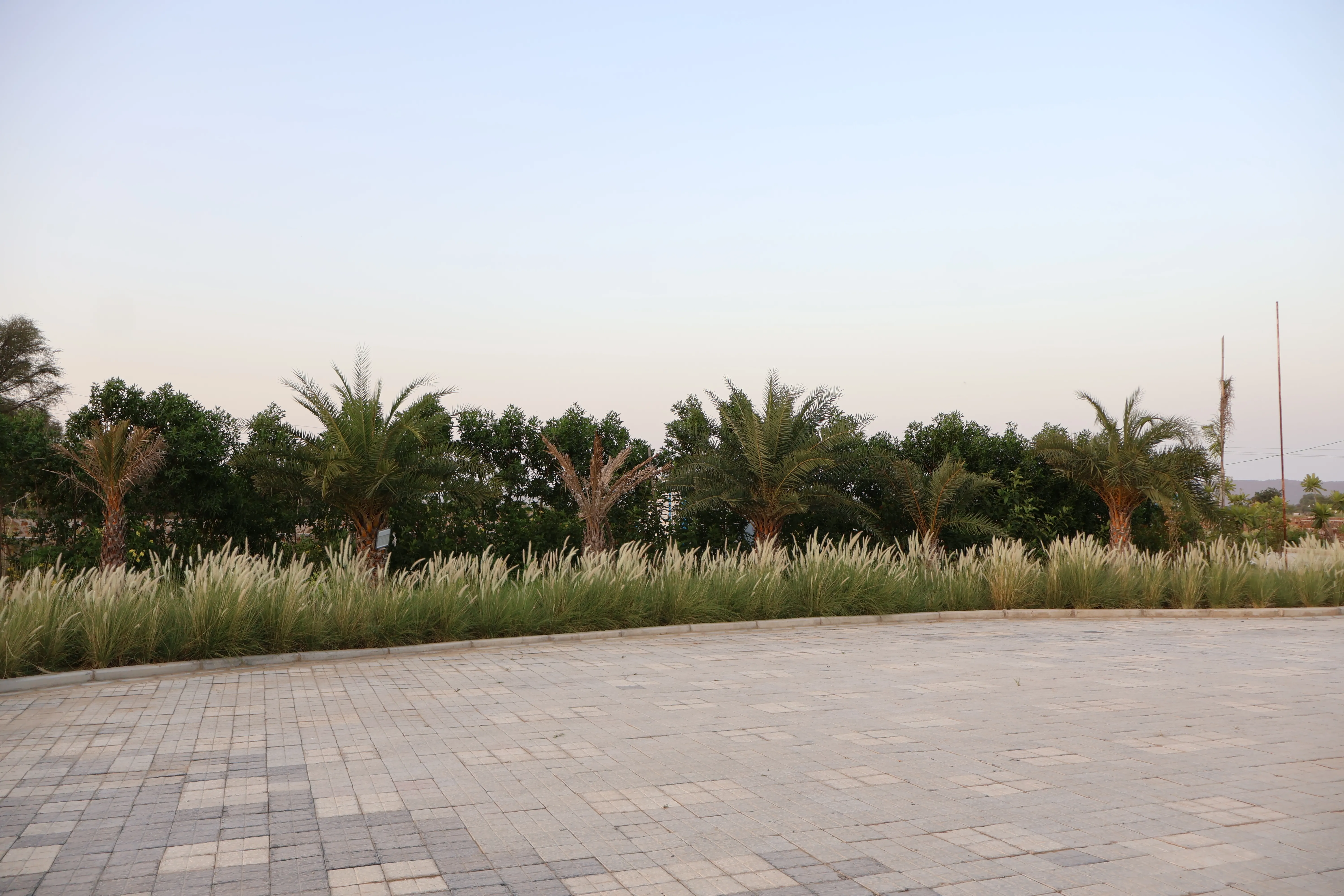 Site Photo 2