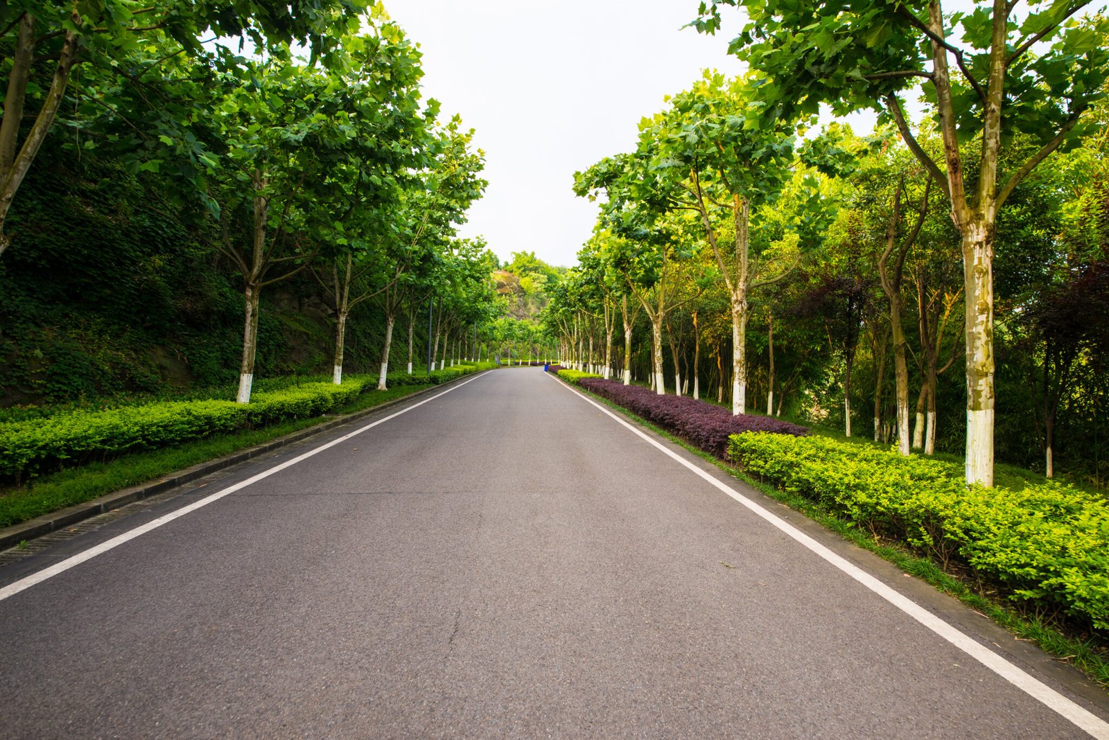 Beautifully landscaped environment
